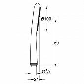 Ручной душ Grohe Rainshower 27447000