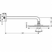 Верхний душ Hansgrohe Raindance 27461000