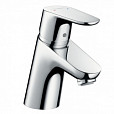 Фотография товара Hansgrohe Focus   31604000