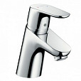 Фотография товара Hansgrohe Focus   31951000