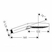 Душевая лейка, 120 мм, 3 струи, шлифованная бронза, Hansgrohe Raindance Select S 26531140