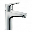 Фотография товара Hansgrohe Focus   31517000